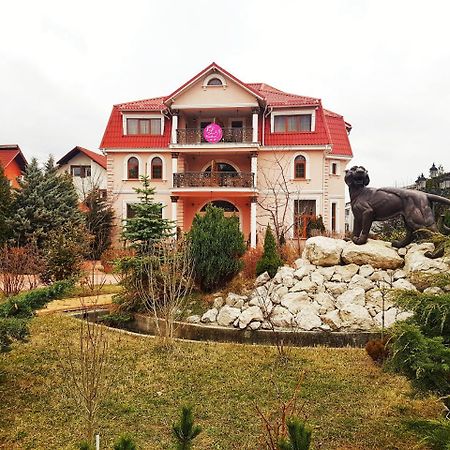 Liz Residence Piteşti Exteriér fotografie