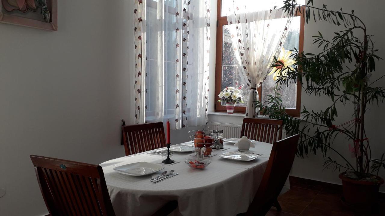 Liz Residence Piteşti Exteriér fotografie
